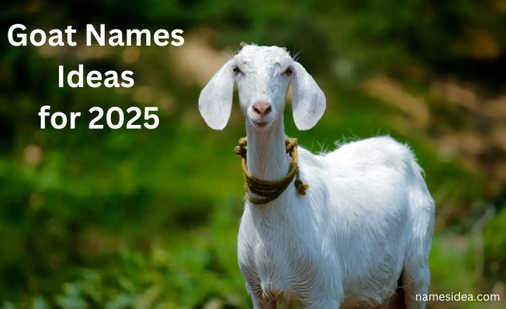 Goat Names Ideas for 2025