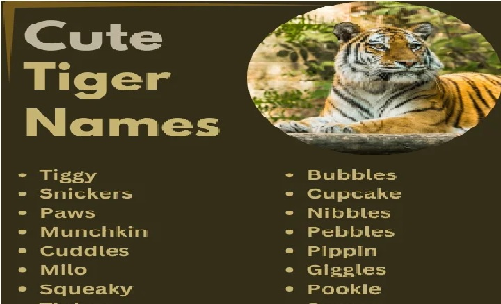 Cute Tiger Names