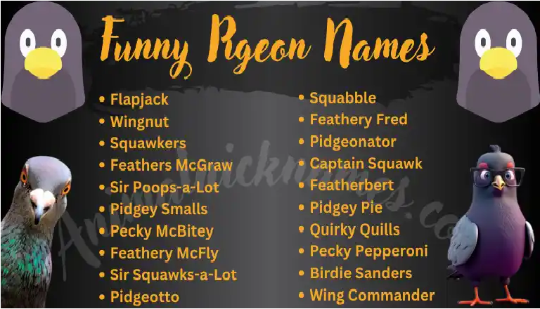 Funny Pigeon Names