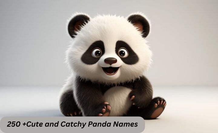 Cute and Catchy Panda Names for 2025